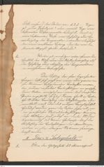Nachlass Franz Steindachner, Prospect der Adria-Commission (Mai 1874), Inv.Nr. 4.01, Seite 7